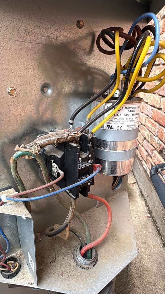 Indoor Air Quality Starts Inside Your System